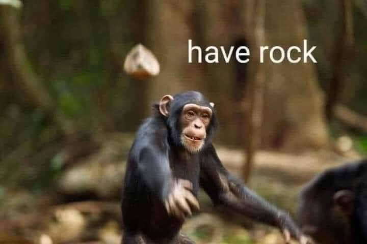 Monkey 'giving' you a rock :)